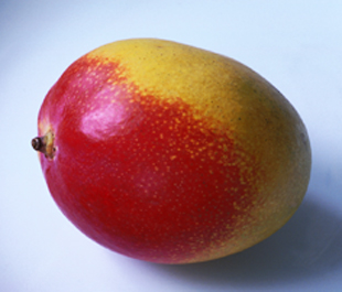 shed fat with mangoes